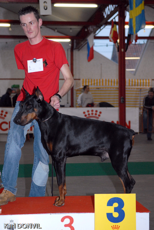 gal/Expo janvier 2007/KD1_0067.jpg